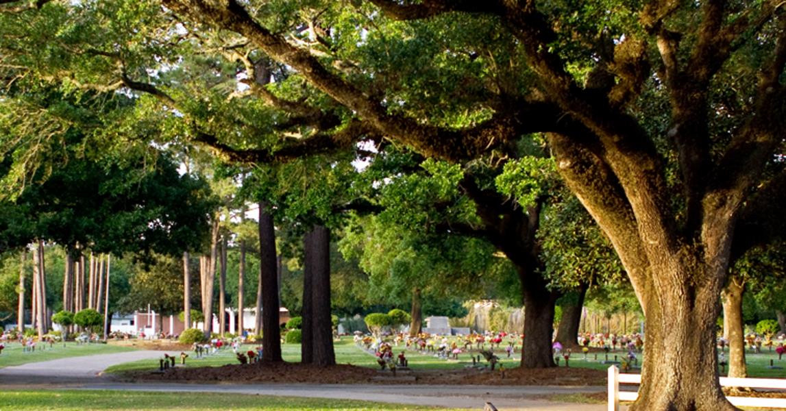 Lafayette Memorial Park