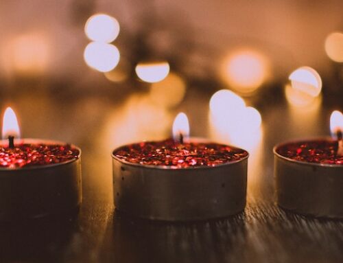 Cherishing Memories Through Cemetery Service Choices
